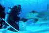 All_the_Sharks_n_S1_E6_00_41_31_19_R