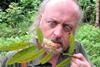 Bill Bailey's Jungle Hero