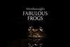 Attenboroughs-Fabulous-Frogs