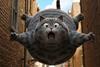 Cat Biggie CJ ENM