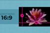 aspect-ratio-part-1-02