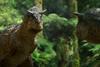 Prehistoric_Planet_Photo_010503
