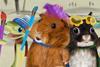 Wonder_Pets_In_The_City_Photo_010701