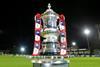fa-cup-2