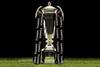 Six Nations rugby trophy