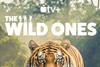 Apple_TV_The_Wild_Ones_key_art_2_3