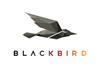 Blackbird updated