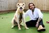 Pete Wicks For Dogs Sake