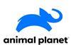 Animal Planet index