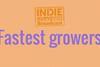 636-indie-survey-fastest-growers-final