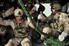 American_Manhunt_Osama_bin_Laden_E3_00_35_00_03