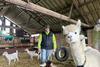 The Yorkshire Vet SE 16 EP 11 01