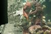 Untold Studios Netflix Remarkable Bright Creatures