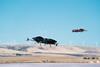 Airspeeder speeders