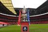 FA Cup trophy