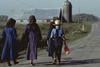 Tragedy In Amish County