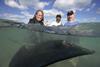 shark_celebrity_infested_waters_sr1_ep1_06