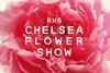 Creative_Review_Chelsea_Flower_Show