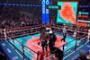 Gladius Boxing graphics