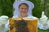 The Secret Life of Bees high res