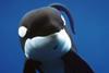 keiko_at_oregon_coast_aquqrium_1997_fwkf