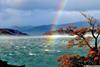 Rainbow (credit: Anna Sobotka)
