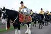 All The Queen's Horses: The Diamond Jubilee Pageant