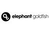 Elephant Goldfish