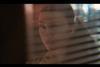 Trauma my broken brain c4
