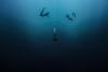 The Deepest Breath