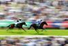 York horse racing Ebor Festival
