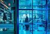Night Tales Club