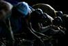 World Aquatics swimming