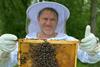 The Secret Life of Bees high res