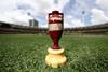 Ashes Urn