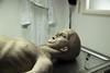 02_002_AlienAutopsy