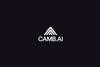 Camb ai