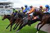 Galway horse racing