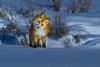 Earthsounds_Photo_010902