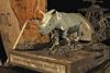 Return of the Rhino