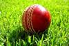 cricket ball