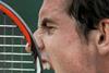 Andy Murray wnet through to the Wimbledon semi-finals