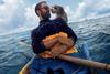 Pets Disney+