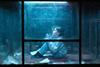 The Glass Dome Netflix