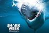 Shark-Week-2017
