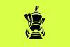 womens FA Cup