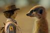 Andys Safari Adventures -showing now on CBeebies (image BBC)