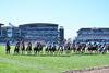 Grand National Aintree RMG