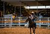 Rodeo