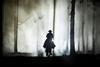 Zorro MD9_enlarged